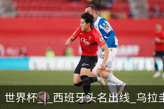 世界杯 | 西班牙头名出线 乌拉圭遭淘汰