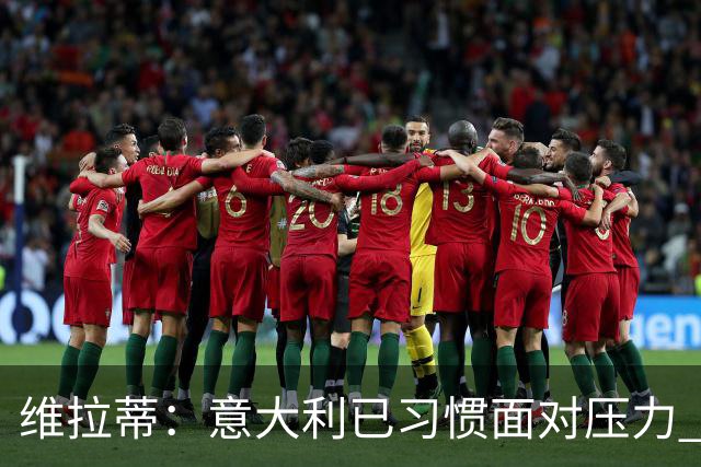 维拉蒂：意大利已习惯面对压力 我们该全力以赴