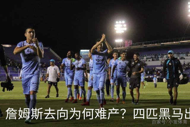 詹姆斯去向为何难产？四匹黑马出现加剧混乱